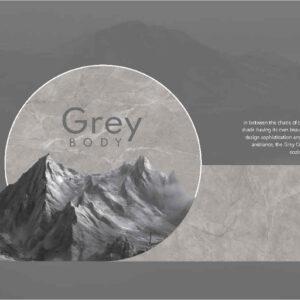 [FTILES] Gạch Pocerlain Gloss – Art – Grey – FTP2AG