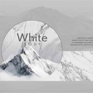 [FTILES] Gạch Pocerlain Gloss – Art White – FTP2AW