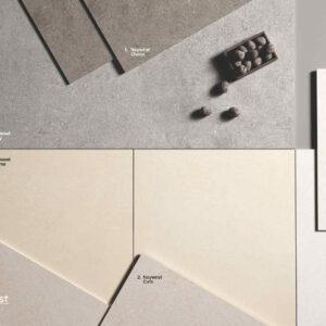 [FTILES] Gạch Pocerlain Matt – Neywest – FTP5NWT