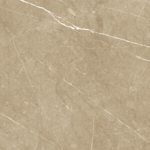 [ROYAL] Gạch Ceramic Matt – Classico – RYC5CL4802D1