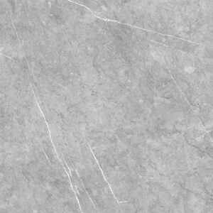 [ROYAL] Gạch Porcelain Matt – Planet – Colorbody – RYP5PDNP01921