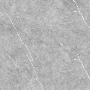 [ROYAL] Gạch Porcelain Matt – Planet – Colorbody – RYP5TVNP01001